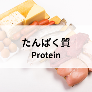 たんぱく質