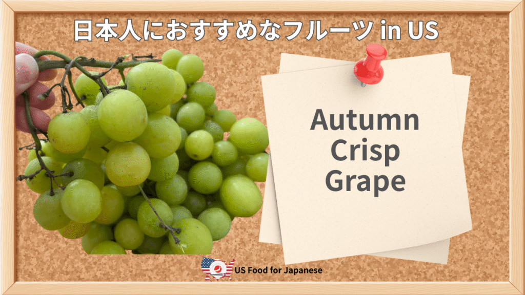 Autumn Crisp Grape 日本人におすすめフルーツ・ブドウ in US