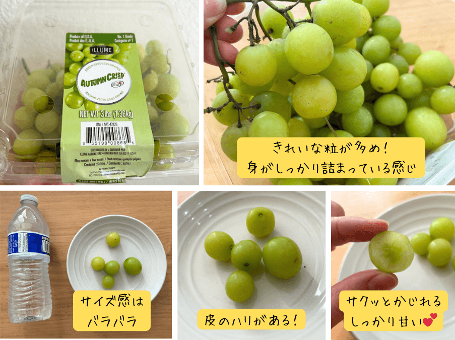 Autumn Crisp Grapeを試食している様子