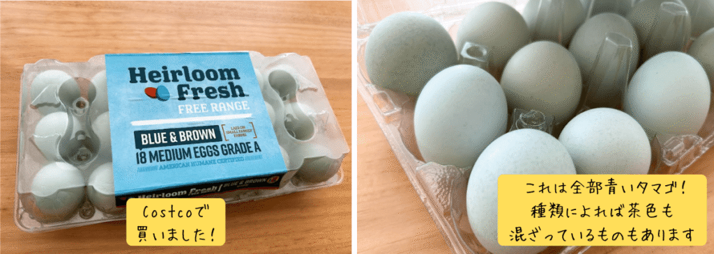 Blue Eggを実食レビュー・黄身の色を比較している様子