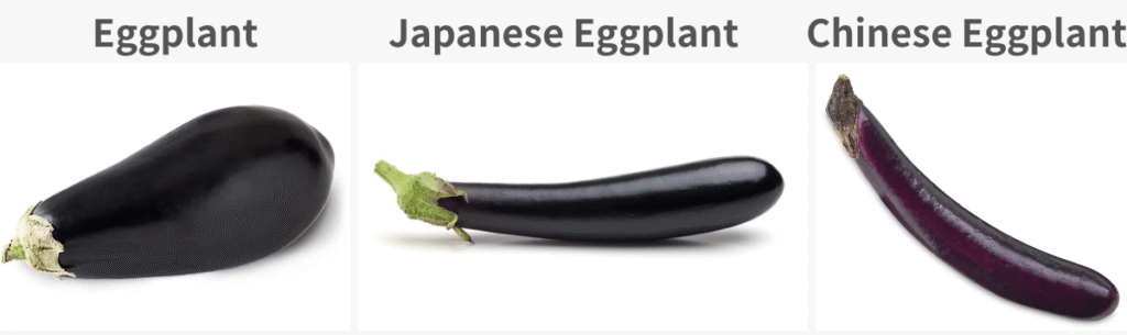 アメリカで一般的なナスの種類