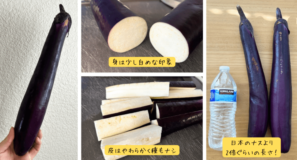 Chinese Eggplant(中国ナス)